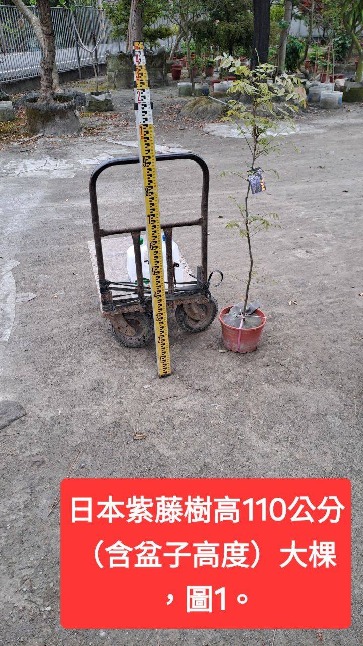 1744258159085.jpg
